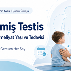 İnmemiş Testis: Belirtileri, Ameliyat Yaşı ve Tedavisi