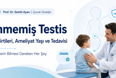 inmemiş-testis